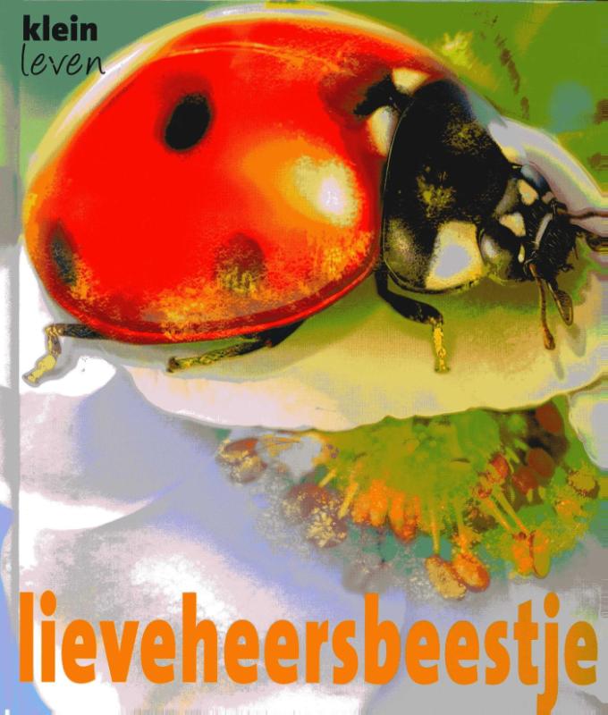 Omslag van Lieveheersbeestje