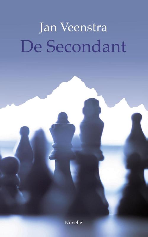 Omslag van De secondant