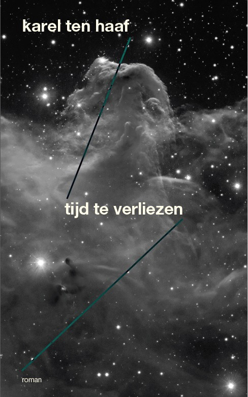 Omslag van Tijd te verliezen