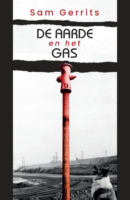 Omslag van De aarde en het gas