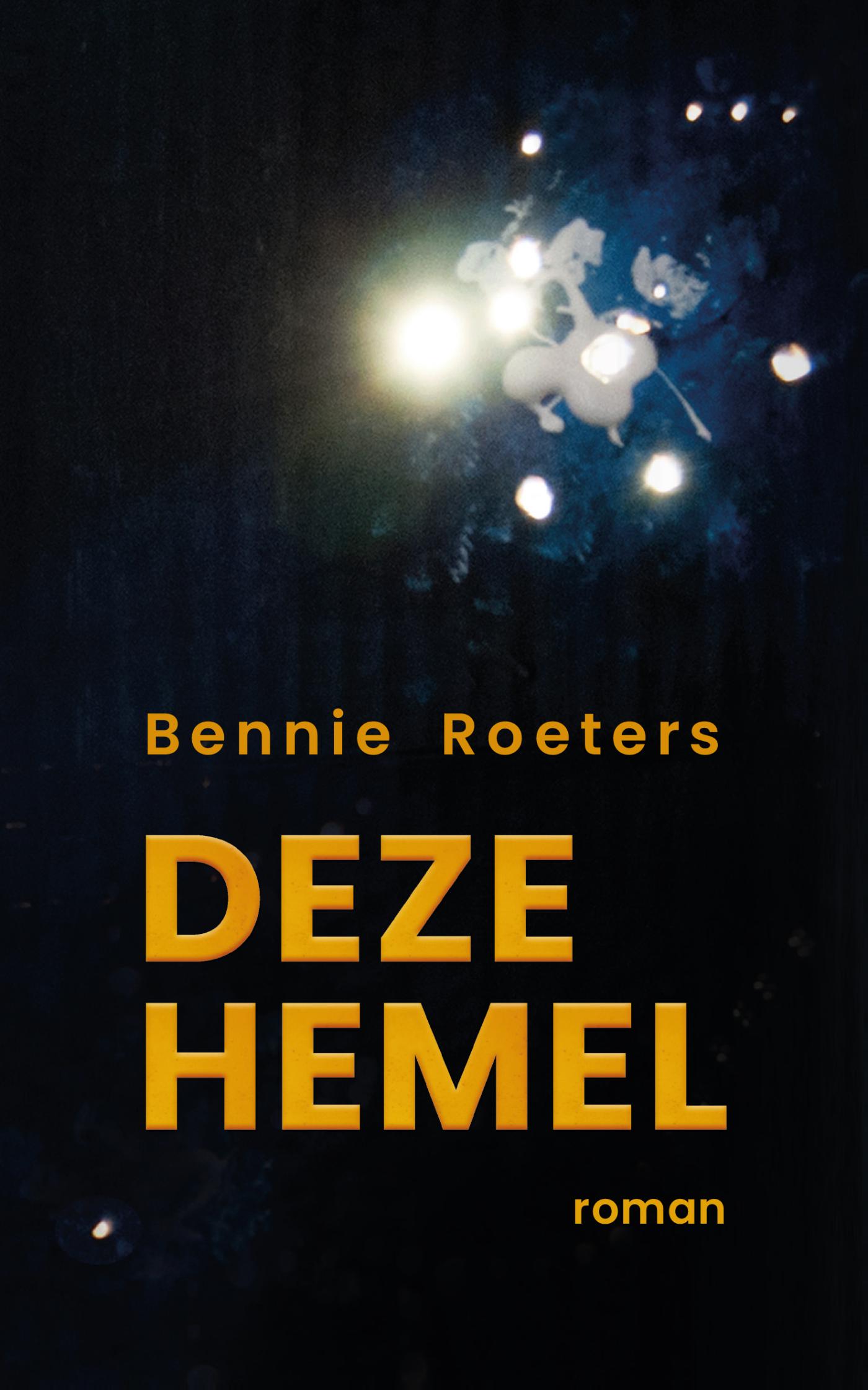 Omslag van Deze hemel