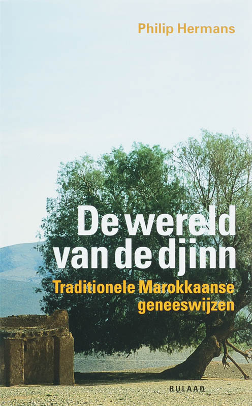 Omslag van De wereld van de Djinn