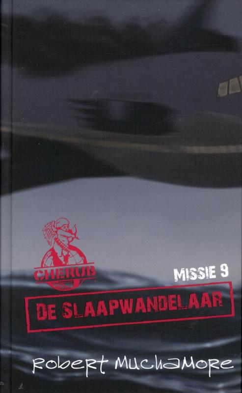 Omslag van De slaapwandelaar