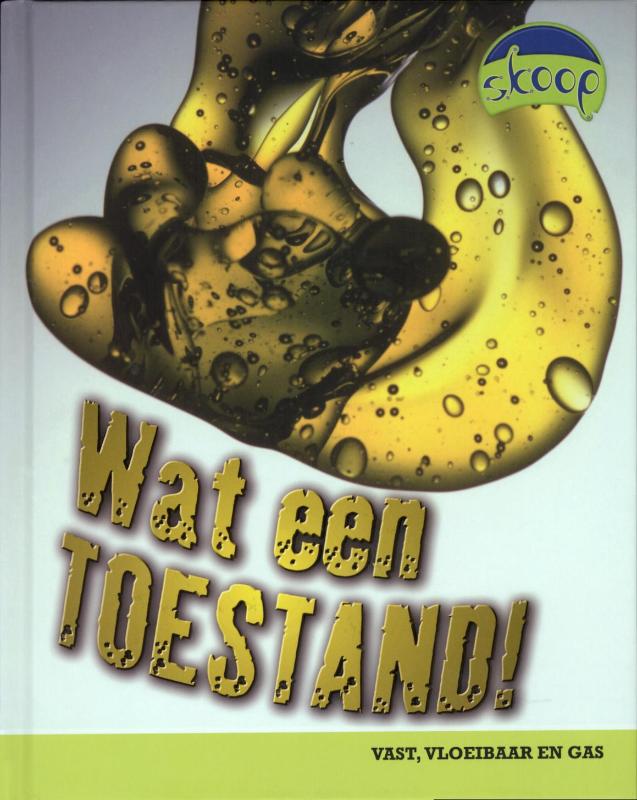 Omslag van Wat een toestand