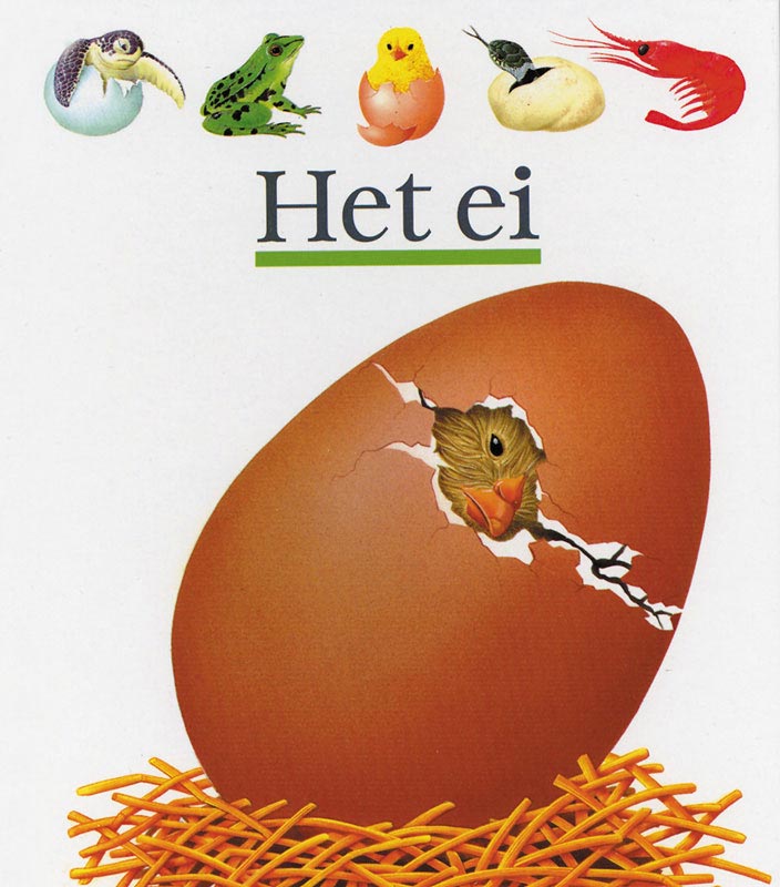 Omslag van Het ei