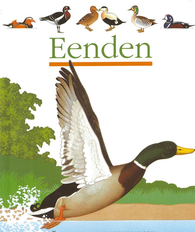 Omslag van Eenden