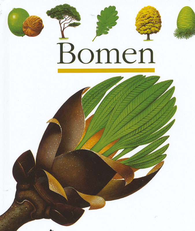Omslag van Bomen