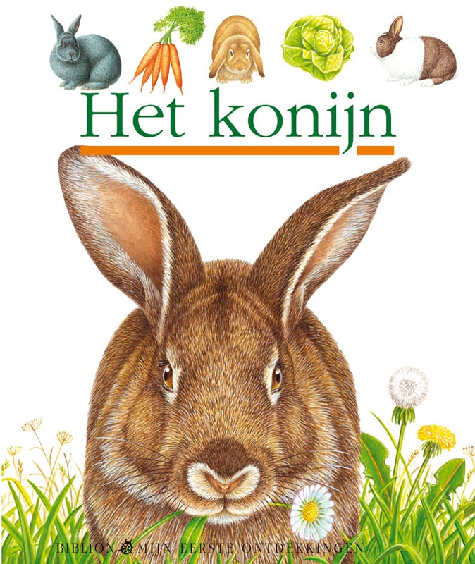 Omslag van Het konijn