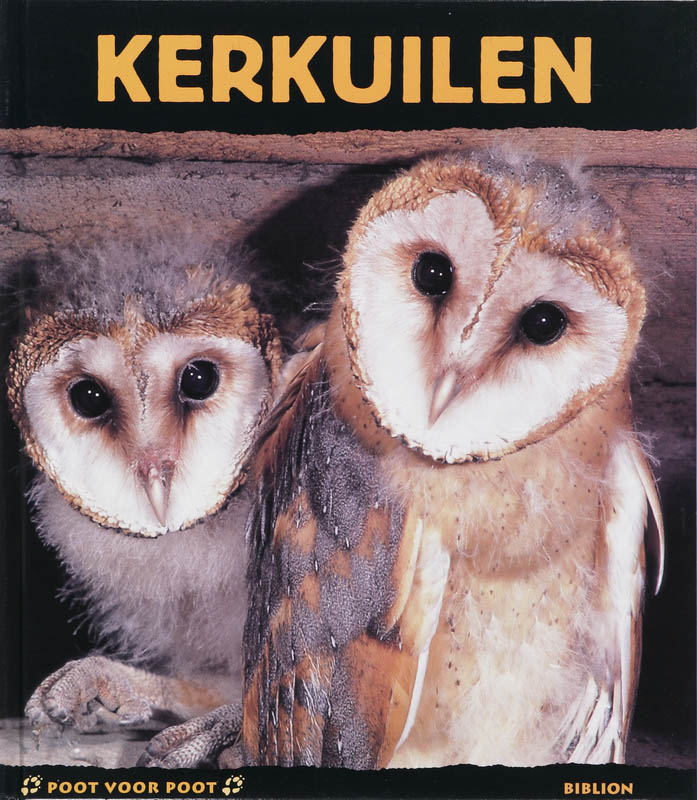 Omslag van Kerkuilen