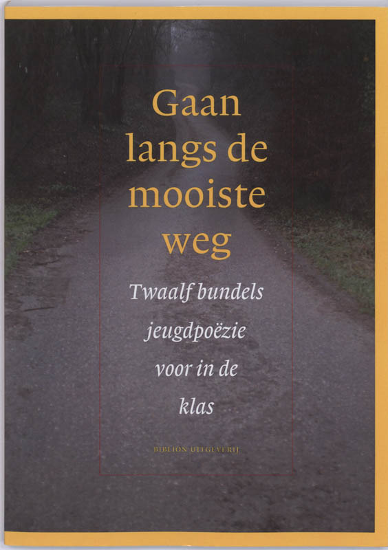 Omslag van Gaan langs de mooiste weg