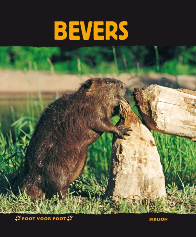 Omslag van Bevers