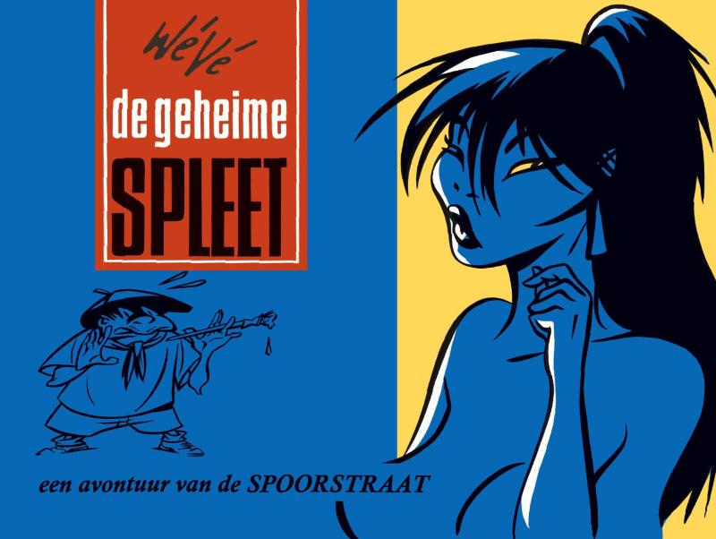 Omslag van Een geheime spleet