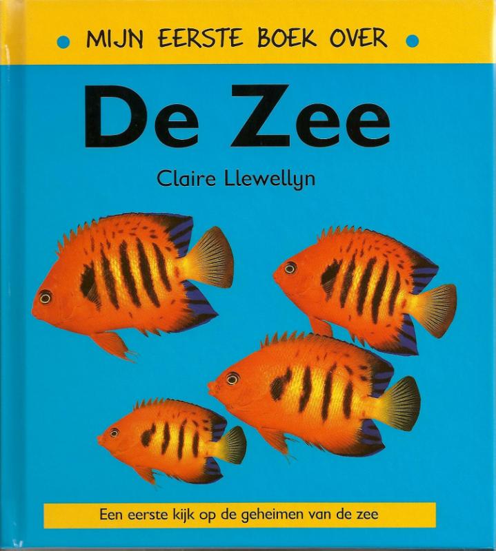 Omslag van Mijn eerste boek over de zee