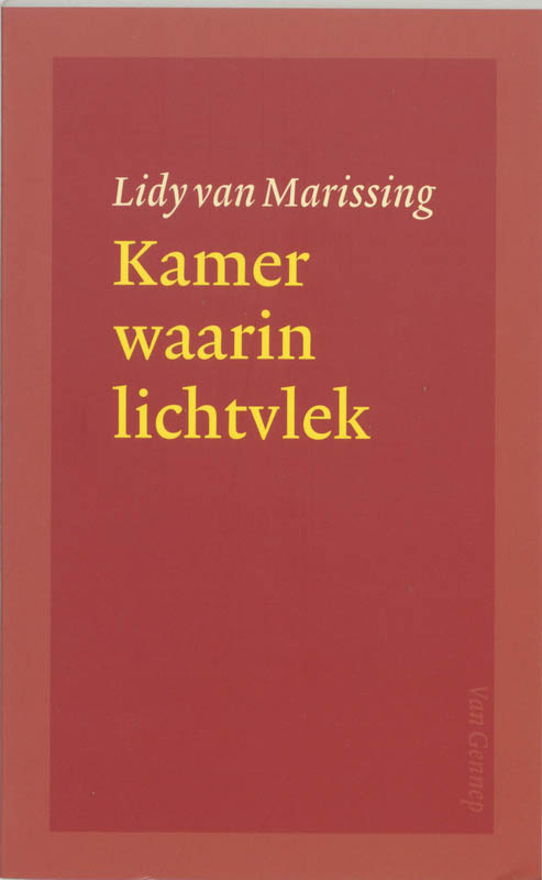 Omslag van Kamer waarin lichtvlek