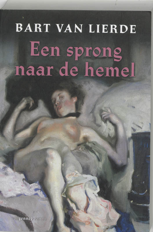 Omslag van Sprong naar de hemel