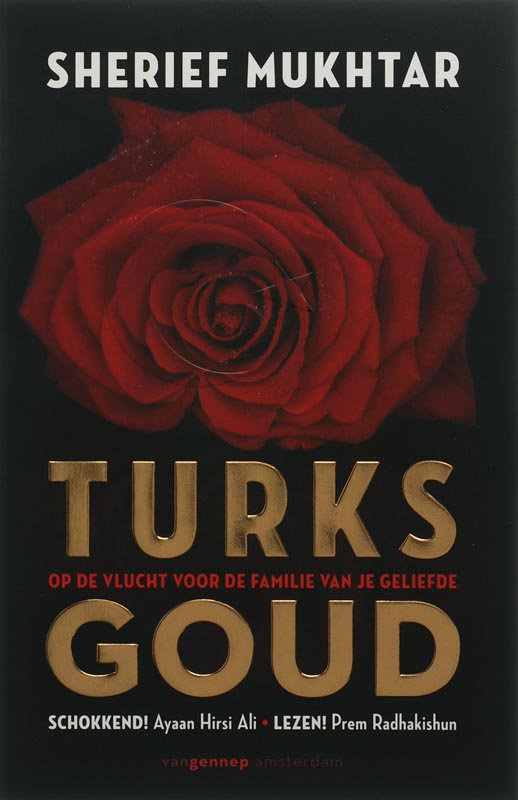 Omslag van Turks goud