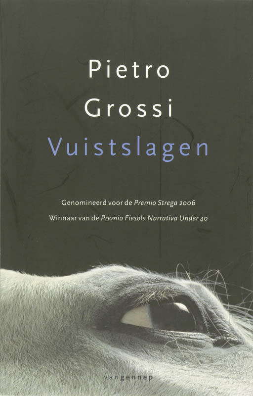 Omslag van Vuistslagen