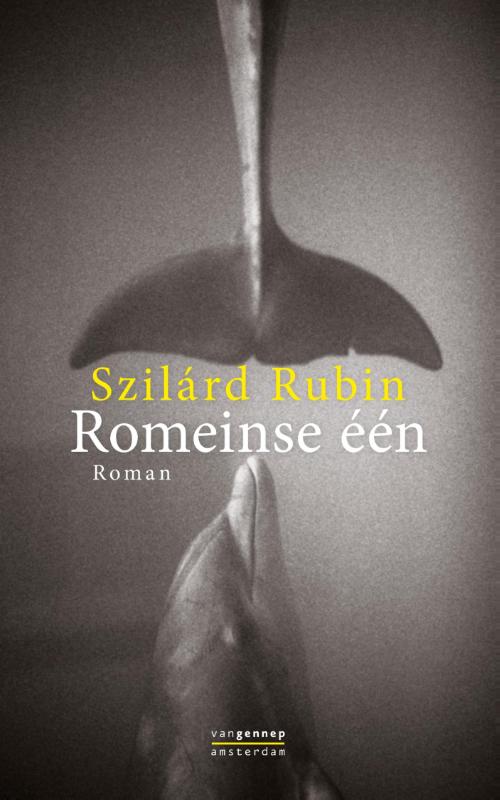 Omslag van Romeinse een