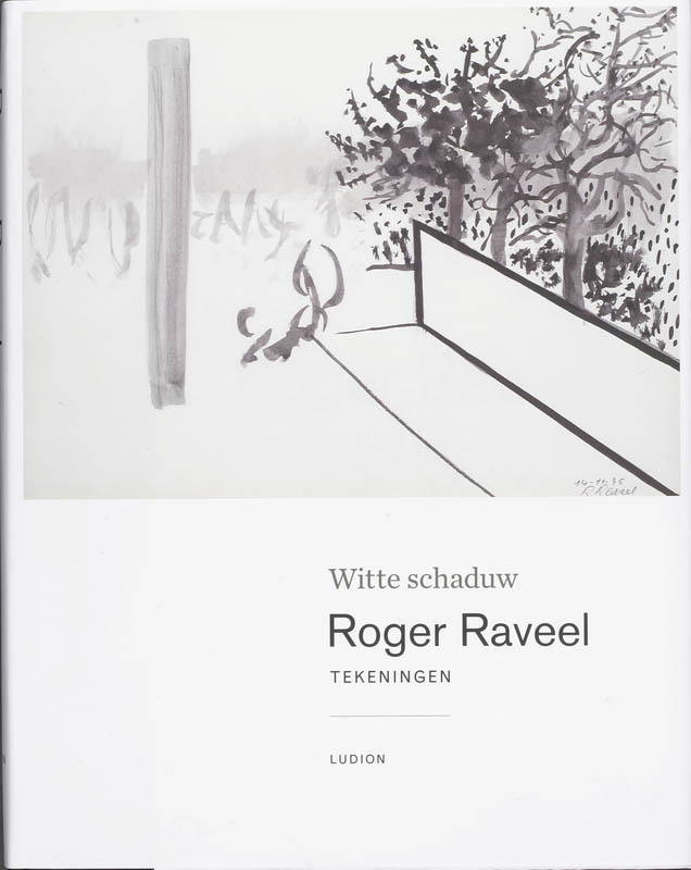 Omslag van Roger Raveel witte schaduw