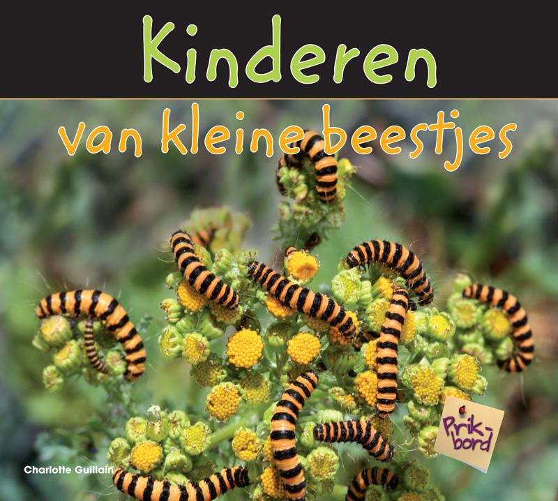 Omslag van Kinderen van kleine beestjes