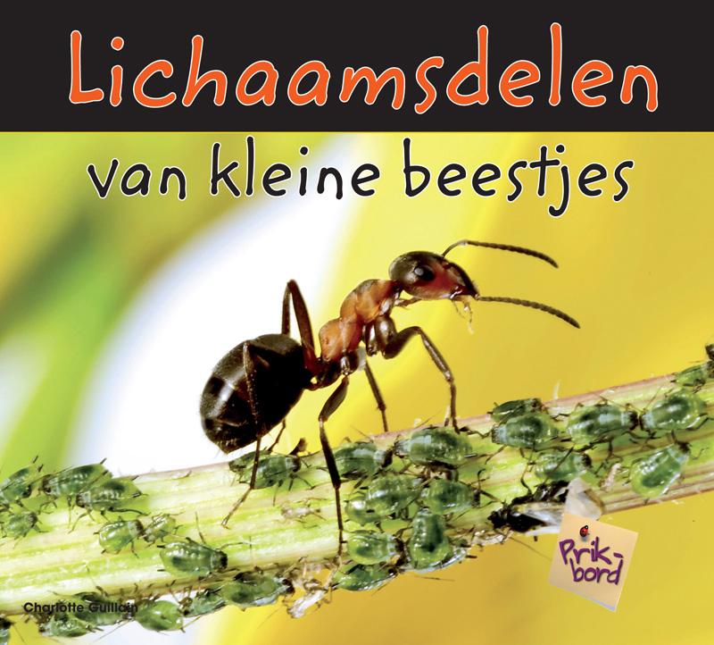 Omslag van Lichaamsdelen van kleine beestjes