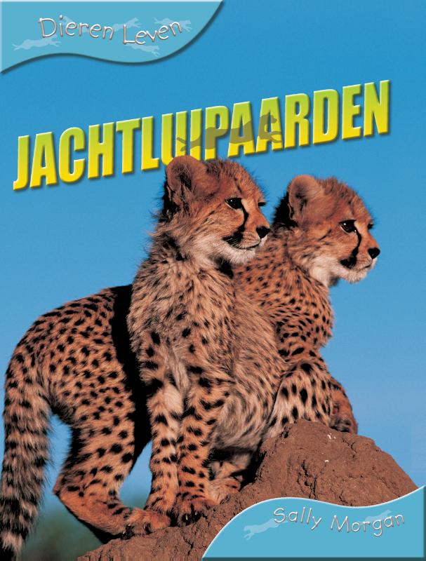 Omslag van Jachtluipaarden