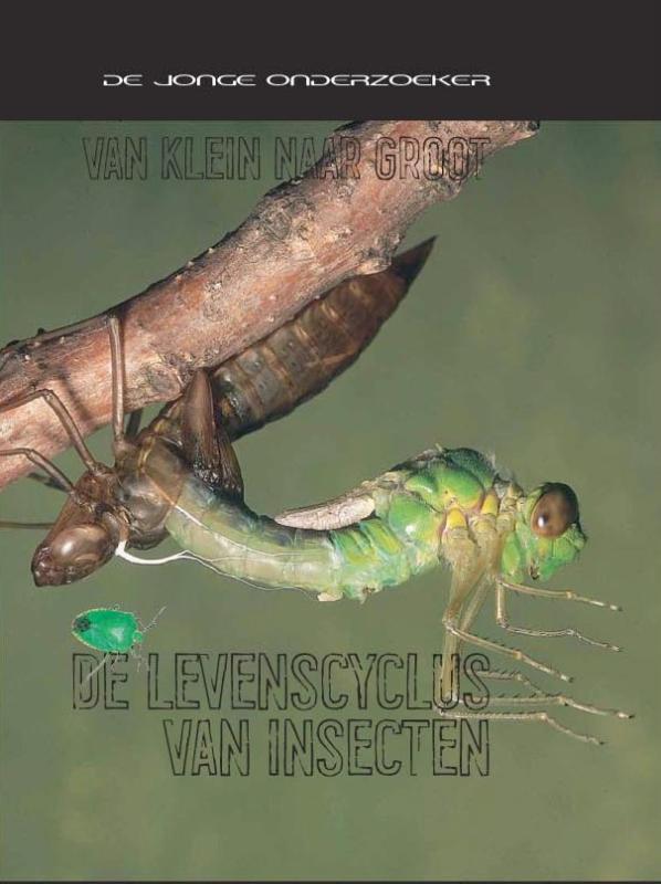 Omslag van De levenscyclus van insecten