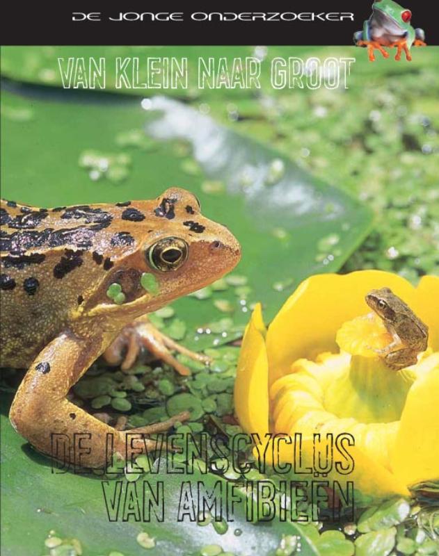 Omslag van De levenscyclus van amfibieën