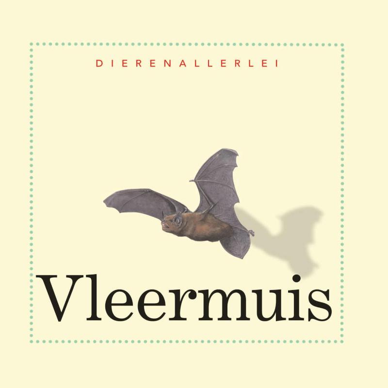 Omslag van Vleermuis