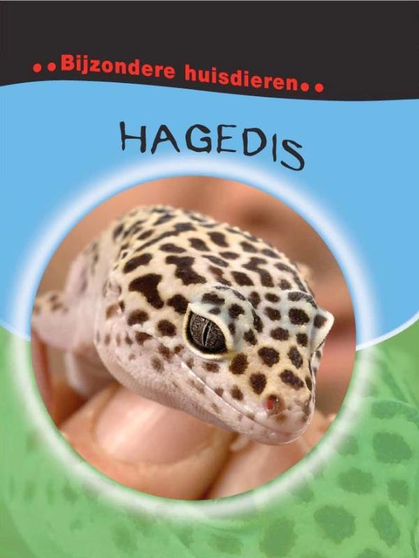 Omslag van Hagedis