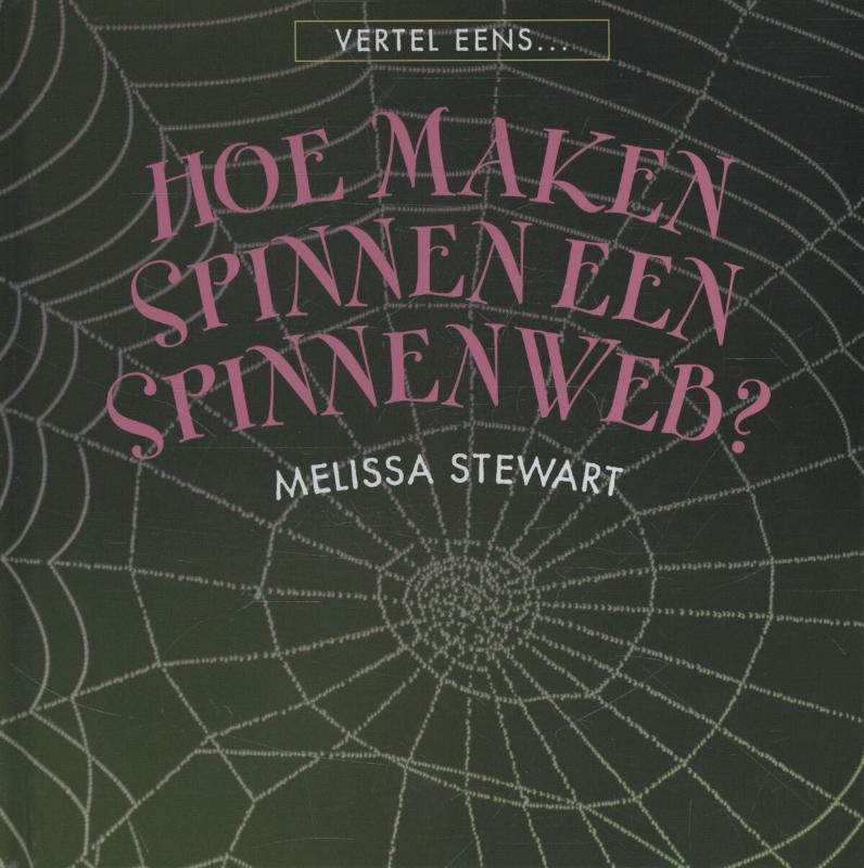 Omslag van Hoe maken spinnen een spinnenweb?