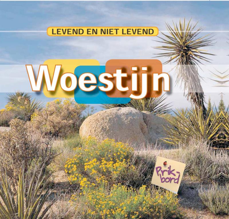 Omslag van Woestijn