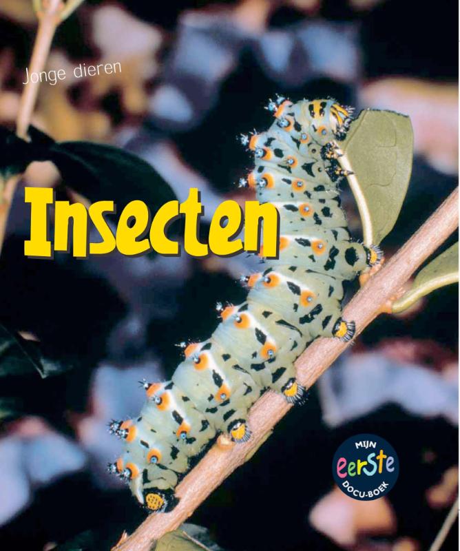 Omslag van Insecten