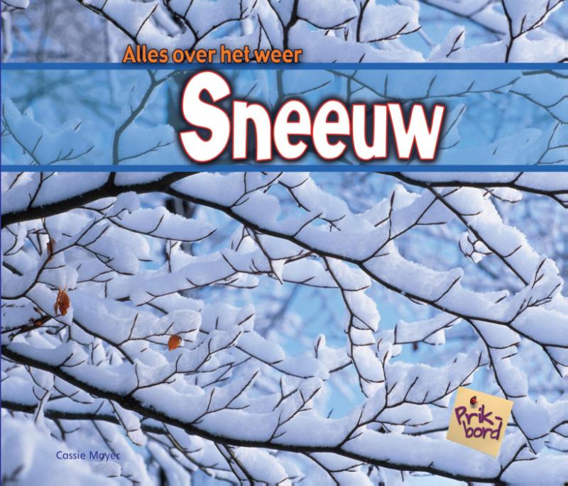 Omslag van Sneeuw