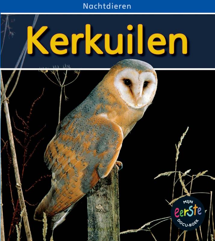 Omslag van Kerkuilen