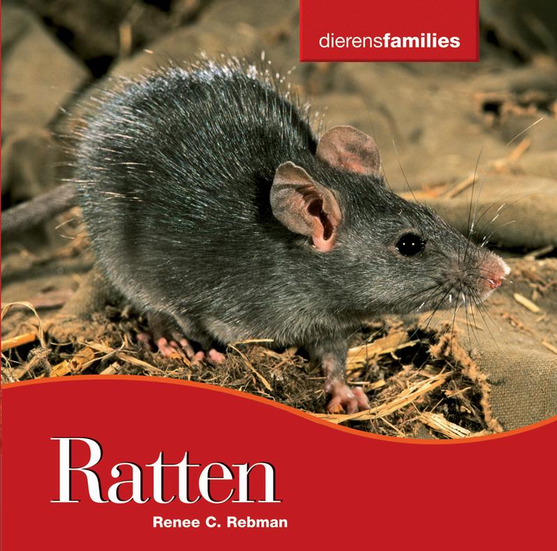 Omslag van Ratten