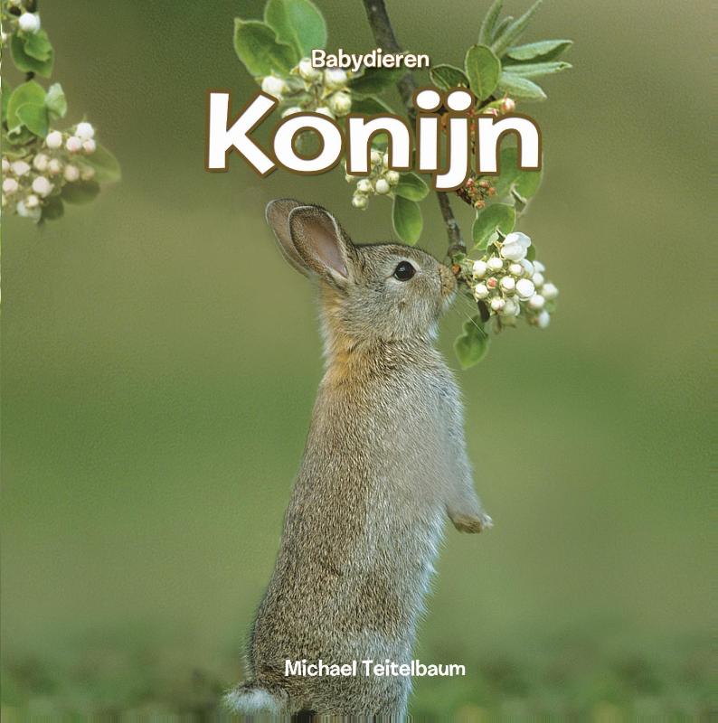 Omslag van Konijn