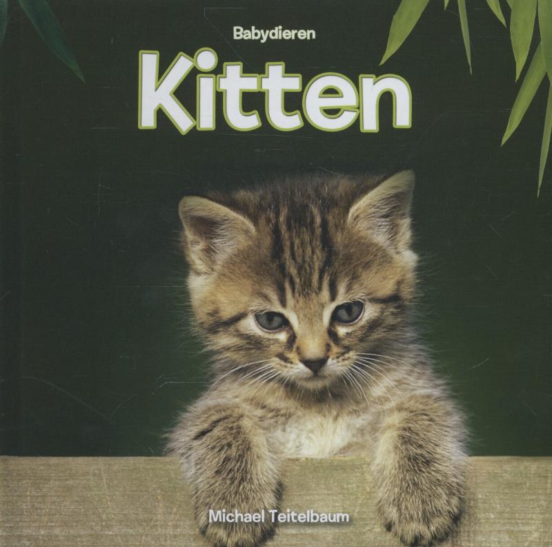 Omslag van Kitten