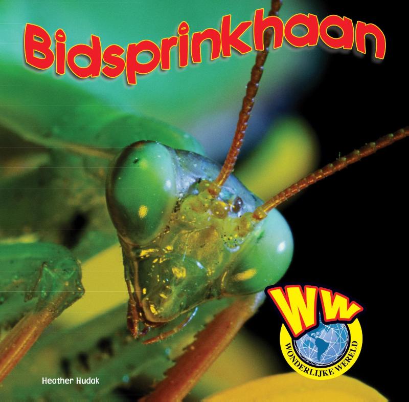 Omslag van Bidsprinkhaan