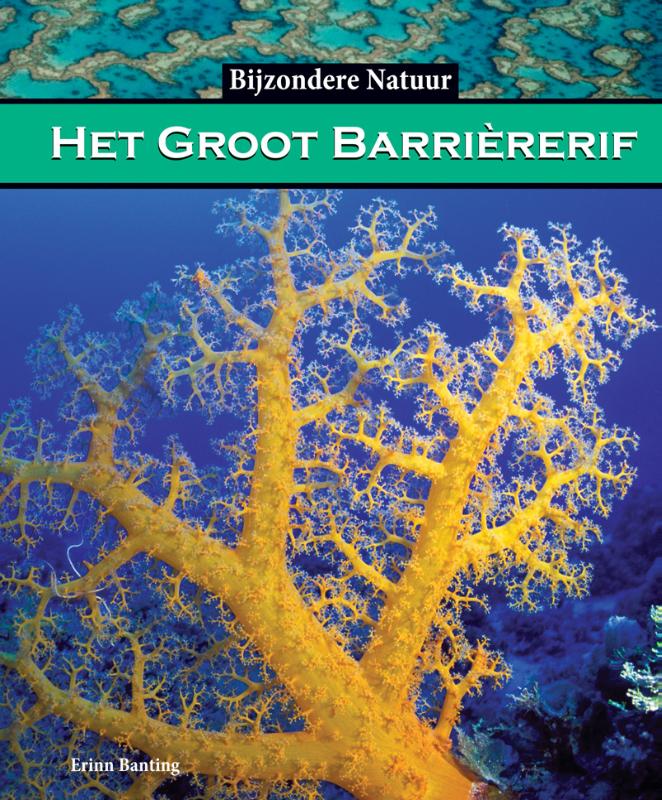 Omslag van Het groot barriererif