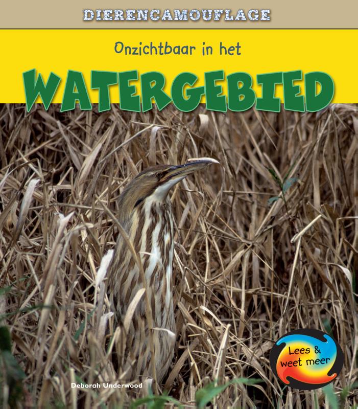 Omslag van Onzichtbaar in het watergebied