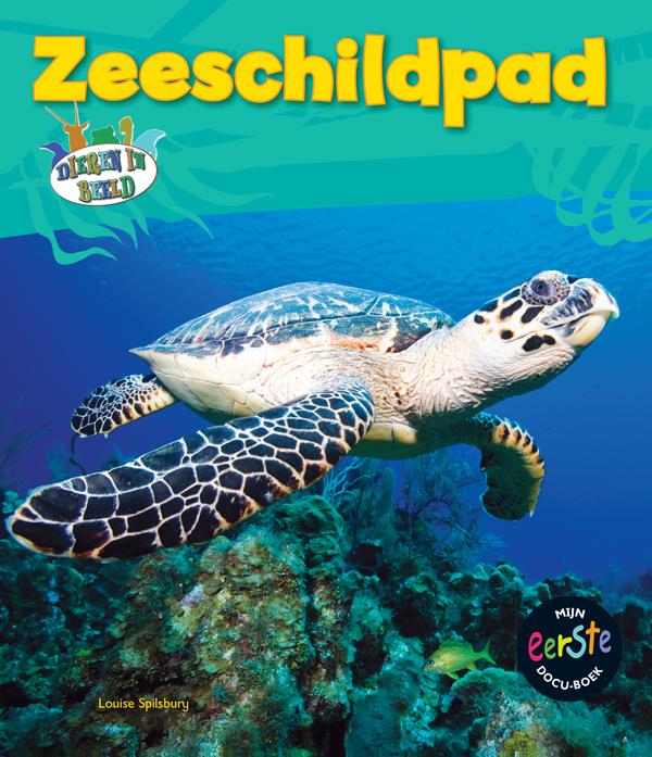 Omslag van Zeeschildpad