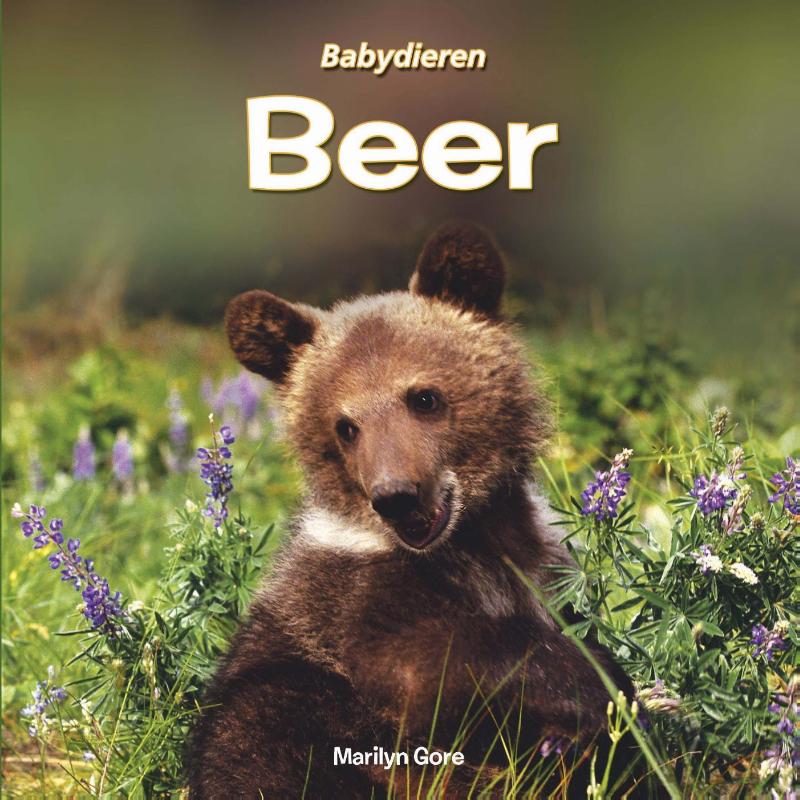 Omslag van Beer