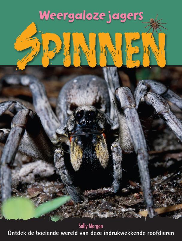 Omslag van Spinnen