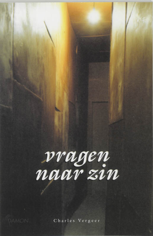 Omslag van Vragen naar zin