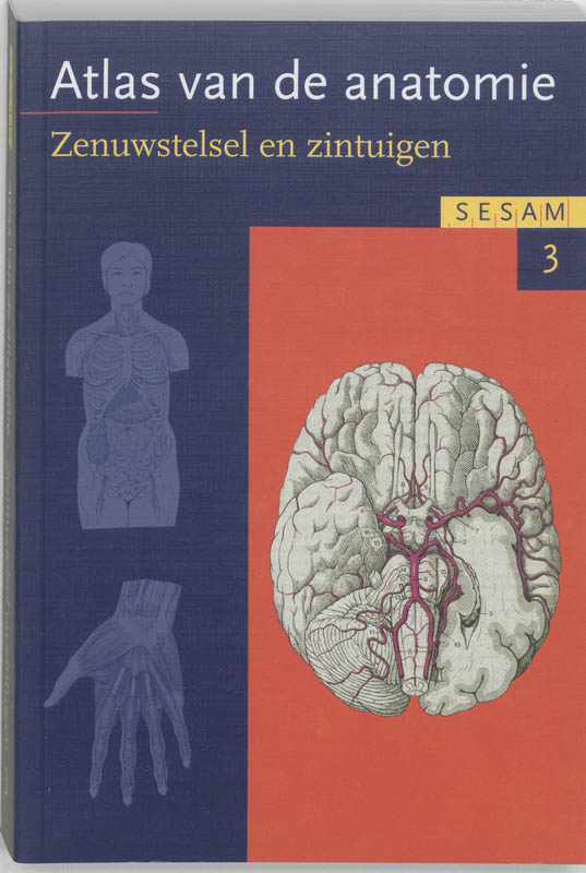 Omslag van 3 Zenuwstelsel en zintuigen
