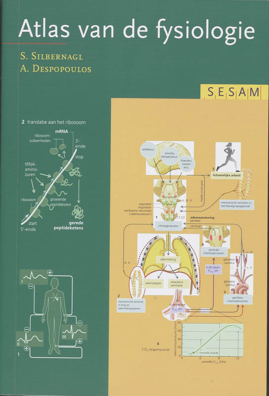 Omslag van Sesam Atlas van de fysiologie