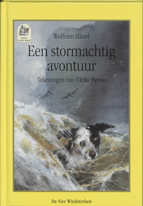Omslag van Een stormachtig avontuur