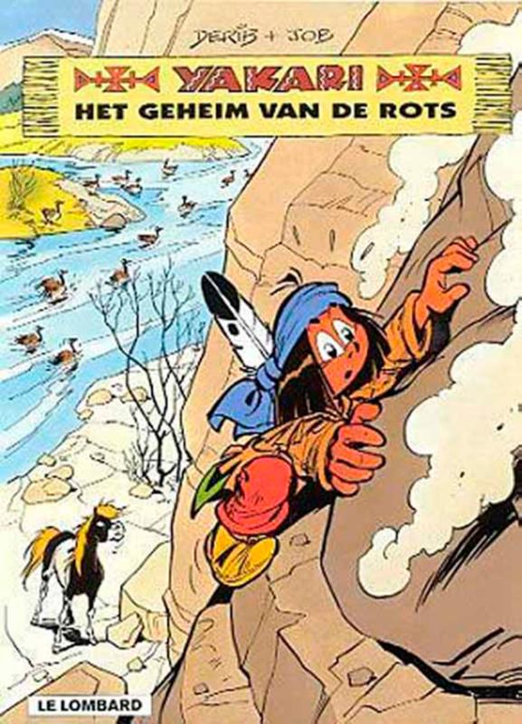 Omslag van Het geheim van de rots