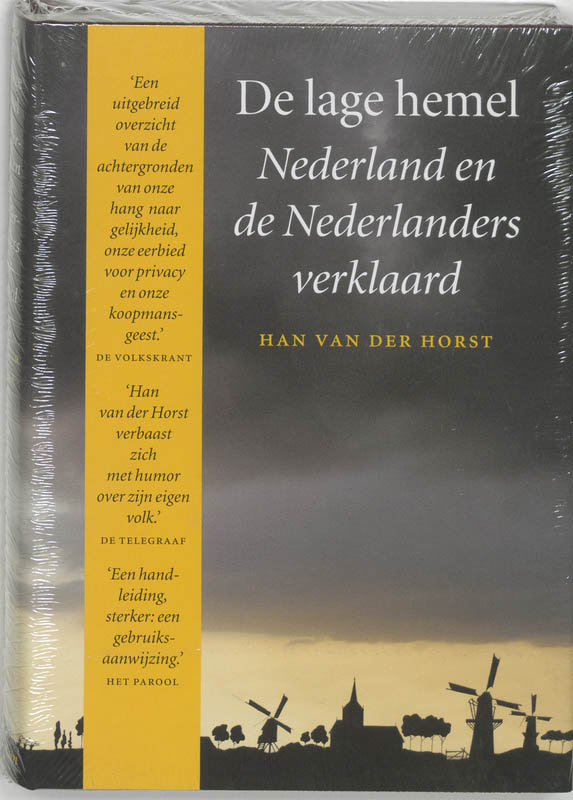 Omslag van De lage hemel